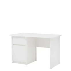 Best Esteti Biurko ERDEN 1D1S/120