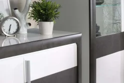 FORTE Komody^Komoda CANNE NEW 2S3D z oświetleniem