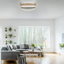 Paul Neuhaus Wszystkie Lampy Sufitowe^Lampa sufitowa LED Wi-Fi czarno-złota Q-BELUGA z pilotem