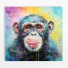 Best inny Obraz na płótnie kolorowy MAŁPA 60x60 cm