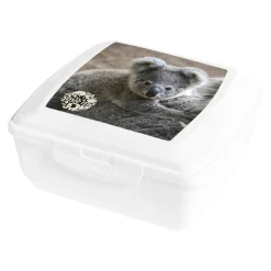 Best Pojemnik / lunchbox SAVE ME 850 ml