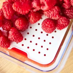 Clearance ROTHO Pojemnik do żywności CAUMA 2 l
