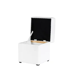 FN Design Puf ANCA