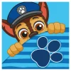 Dzieci inny Podróże|Ręczniki Dla Dzieci^Ręcznik do rąk niebieski PAW PATROL 30x30 cm