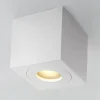 Zumaline Spoty Natynkowe^Reflektor natynkowy biały QUARDIP SL