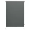 Best Roleta mini THERMO 61,5x150 cm