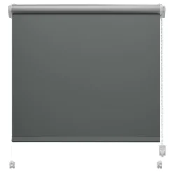 Best Roleta mini THERMO 61,5x150 cm