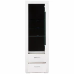 FORTE Witryna SNOW SNWV712